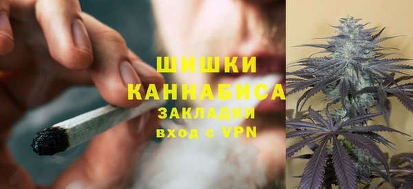 ПСИЛОЦИБИНОВЫЕ ГРИБЫ Инта