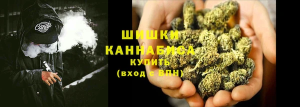 ПСИЛОЦИБИНОВЫЕ ГРИБЫ Инта