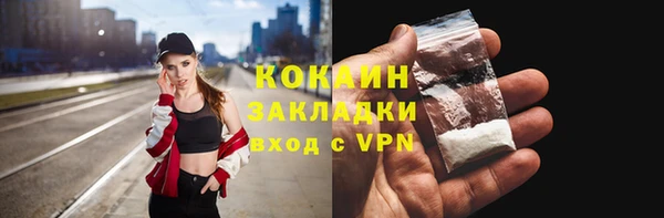 ПСИЛОЦИБИНОВЫЕ ГРИБЫ Инта
