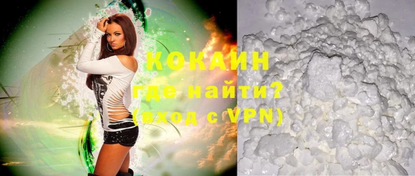 ПСИЛОЦИБИНОВЫЕ ГРИБЫ Инта