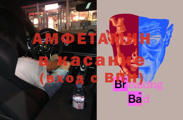 ПСИЛОЦИБИНОВЫЕ ГРИБЫ Инта